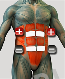 Umieszczenie elektrod na mięśniach brzuchu - A