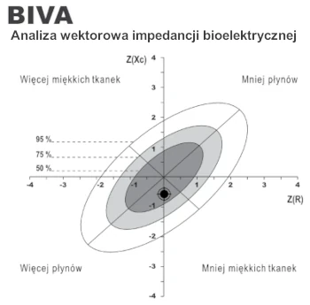 MA801 analiza BIVA